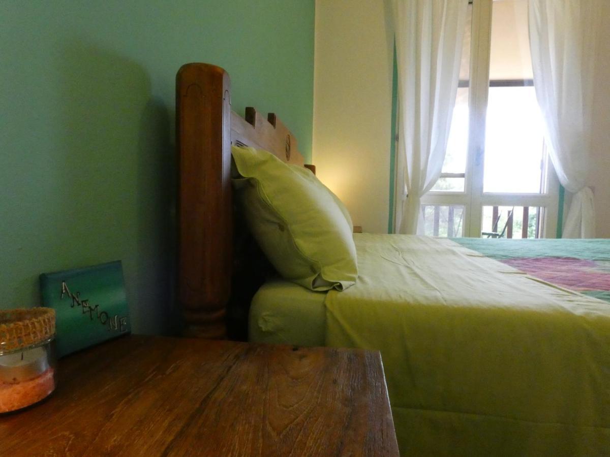 B&B Mrcaruba 斯廷蒂诺 外观 照片