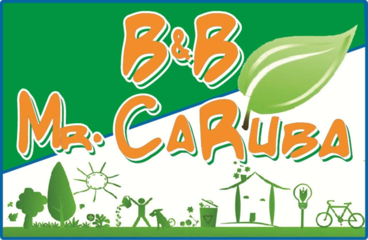 B&B Mrcaruba 斯廷蒂诺 外观 照片